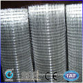 stainless steel 10 gauge galvanized welded wire mesh